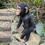 Thumbnail: Vivid Arts - Standing Baby Chimpanzee