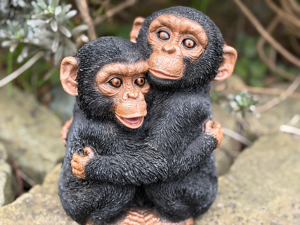 Thumbnail: Vivid Arts - Hugging Chimps
