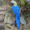 Thumbnail: Vivid Arts - Yellow Macaw Parrot