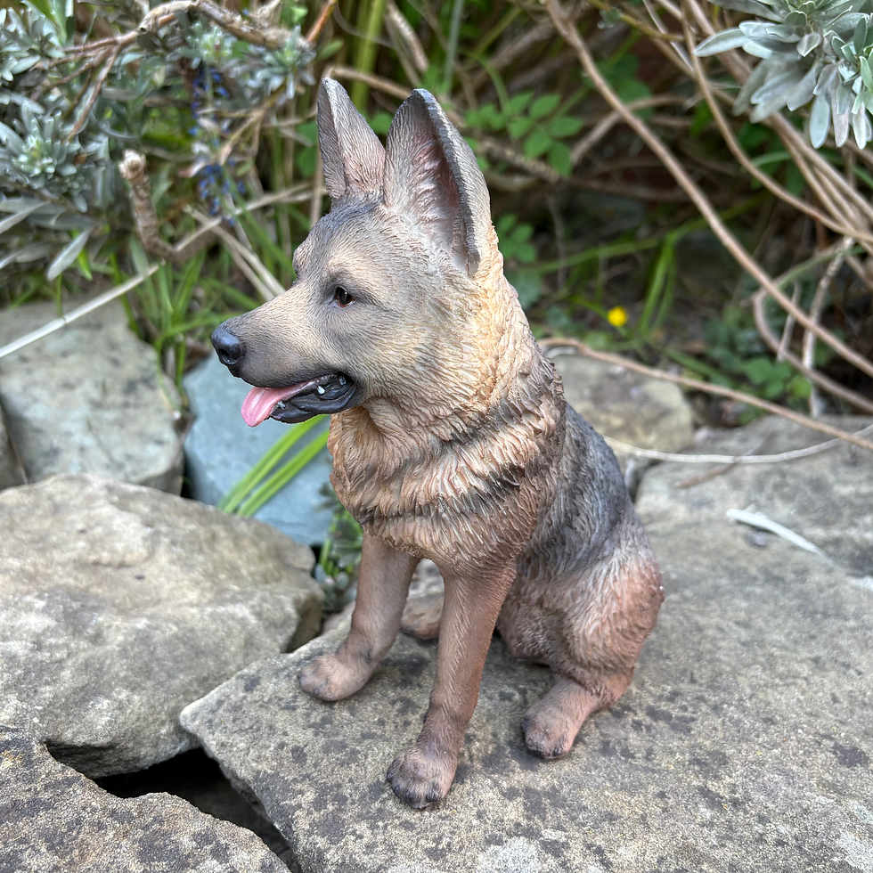 Thumbnail: Vivid Arts - Sitting Alsatian