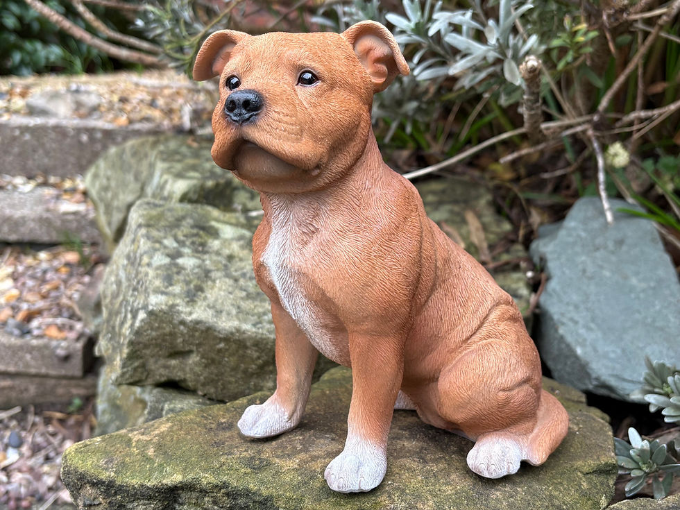 Thumbnail: Vivid Arts - Staffordshire Bull Terrier - Brown