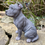 Thumbnail: Vivid Arts - Staffordshire Bull Terrier - Blue Staffie