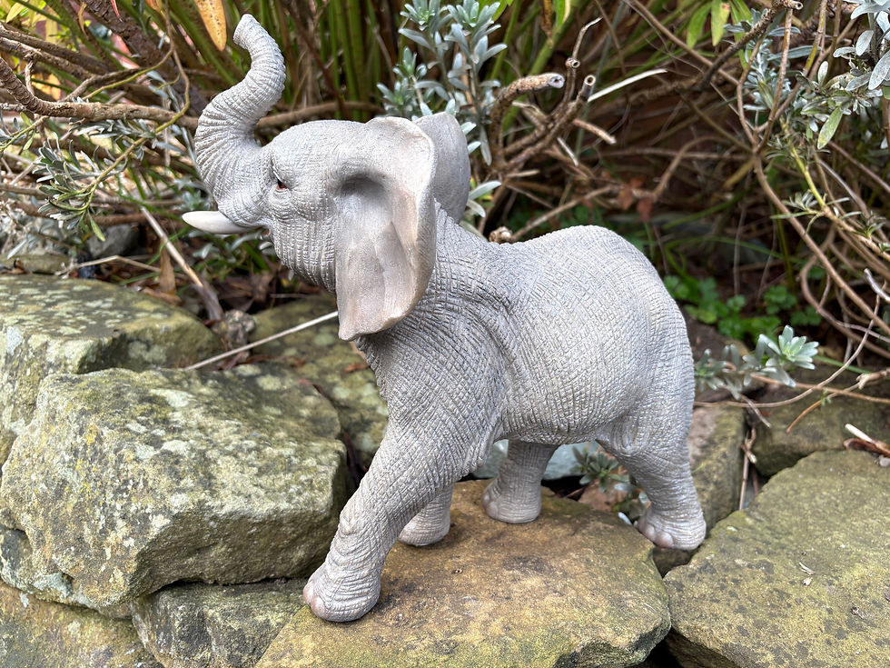 Thumbnail: Vivid Arts - Elephant 