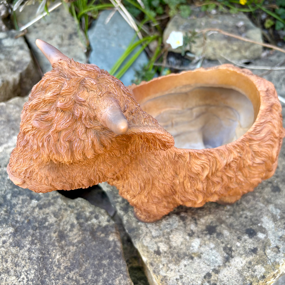Thumbnail: Vivid Arts - Highland Cow Planter