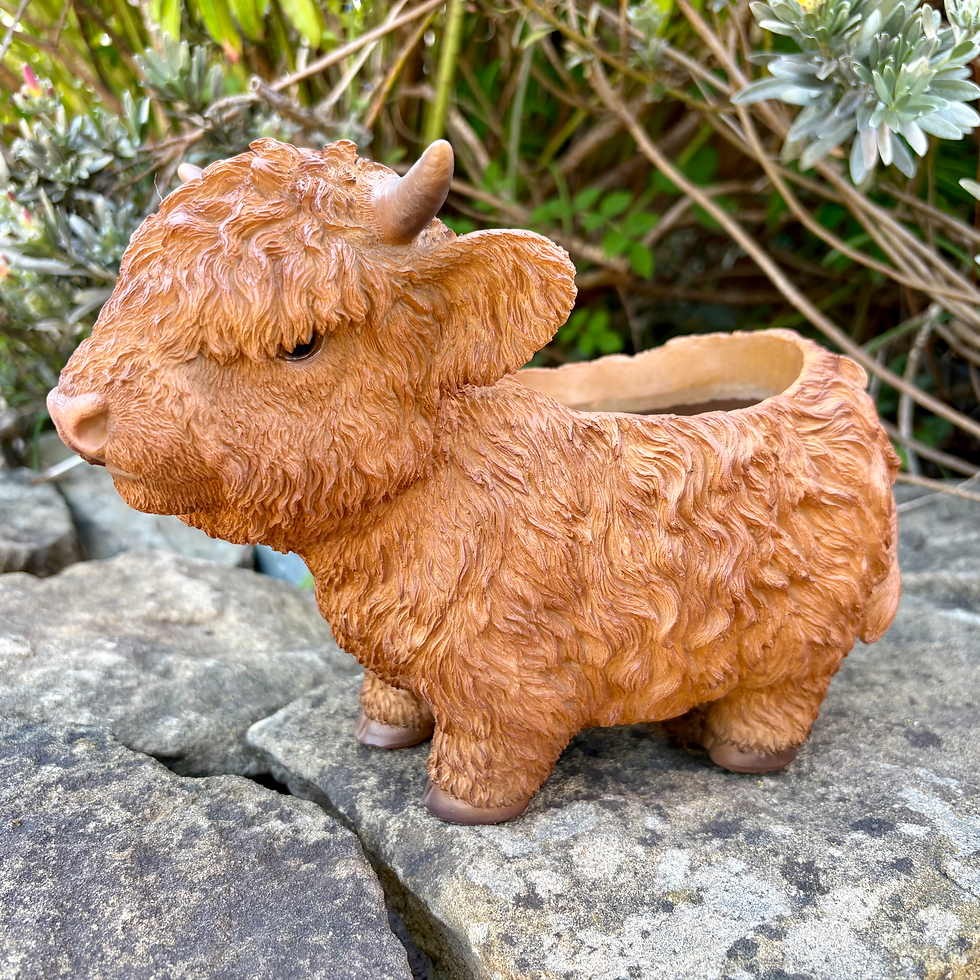 Thumbnail: Vivid Arts - Highland Cow Planter