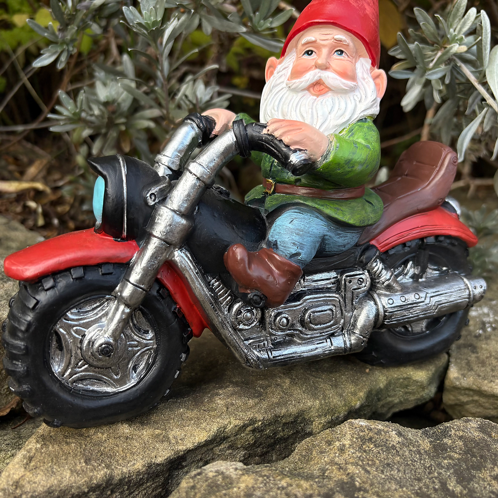 Thumbnail: Grandpa Gnome on Motorbike