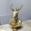 Thumbnail: Large Gold Stag Bust