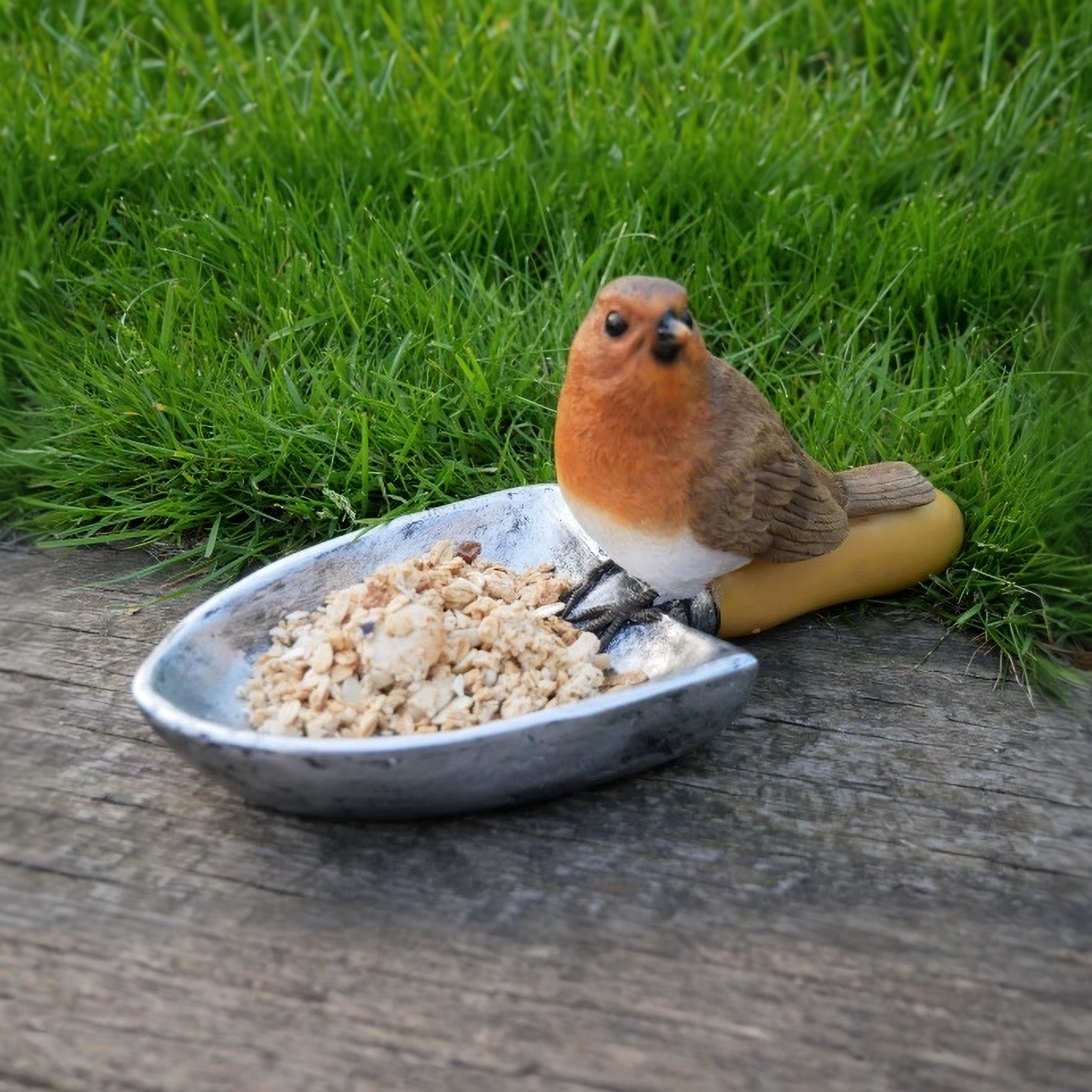 Robin Birdfeeder 