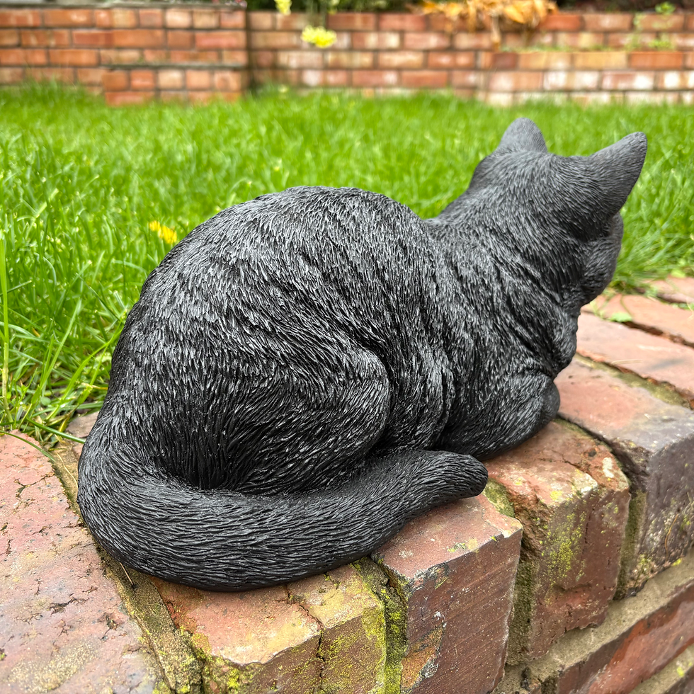 Thumbnail:  Vivid Arts - Black & White Dreaming Cat