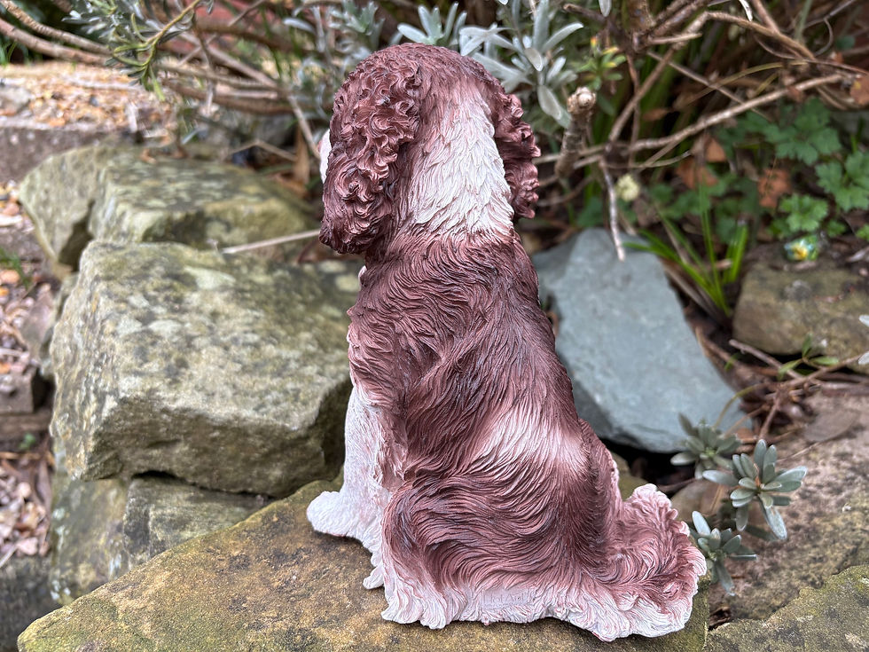 Thumbnail: Vivid Arts - Springer Spaniel