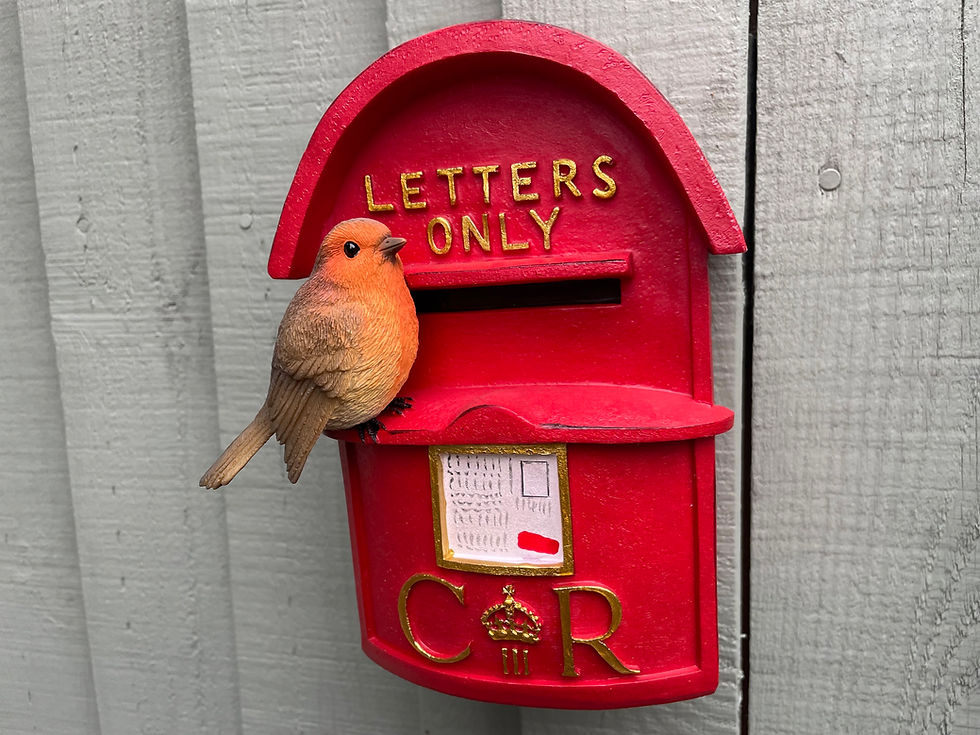 Thumbnail: Vivid Arts - Postbox with Robin