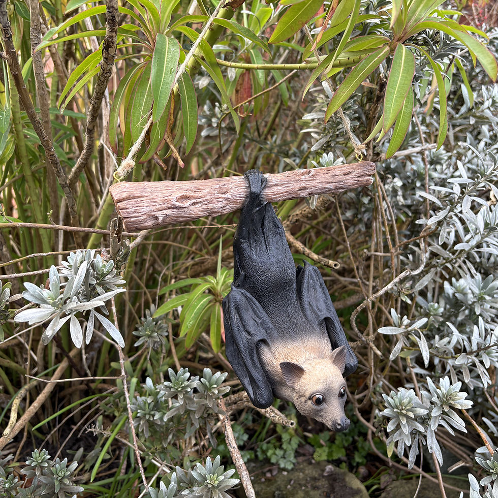 Thumbnail: Vivid Arts - Flying Fruit Bat