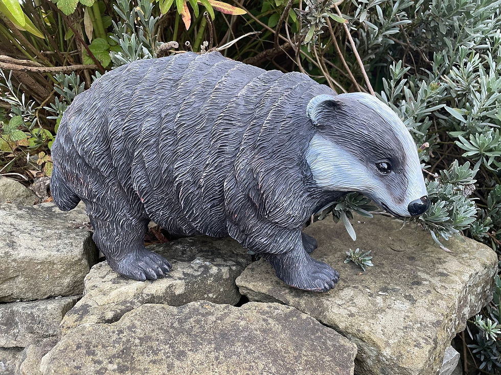 Thumbnail: Large Badger