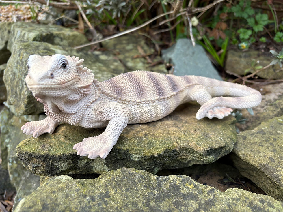 Thumbnail: Vivid Arts - Bearded Dragon 
