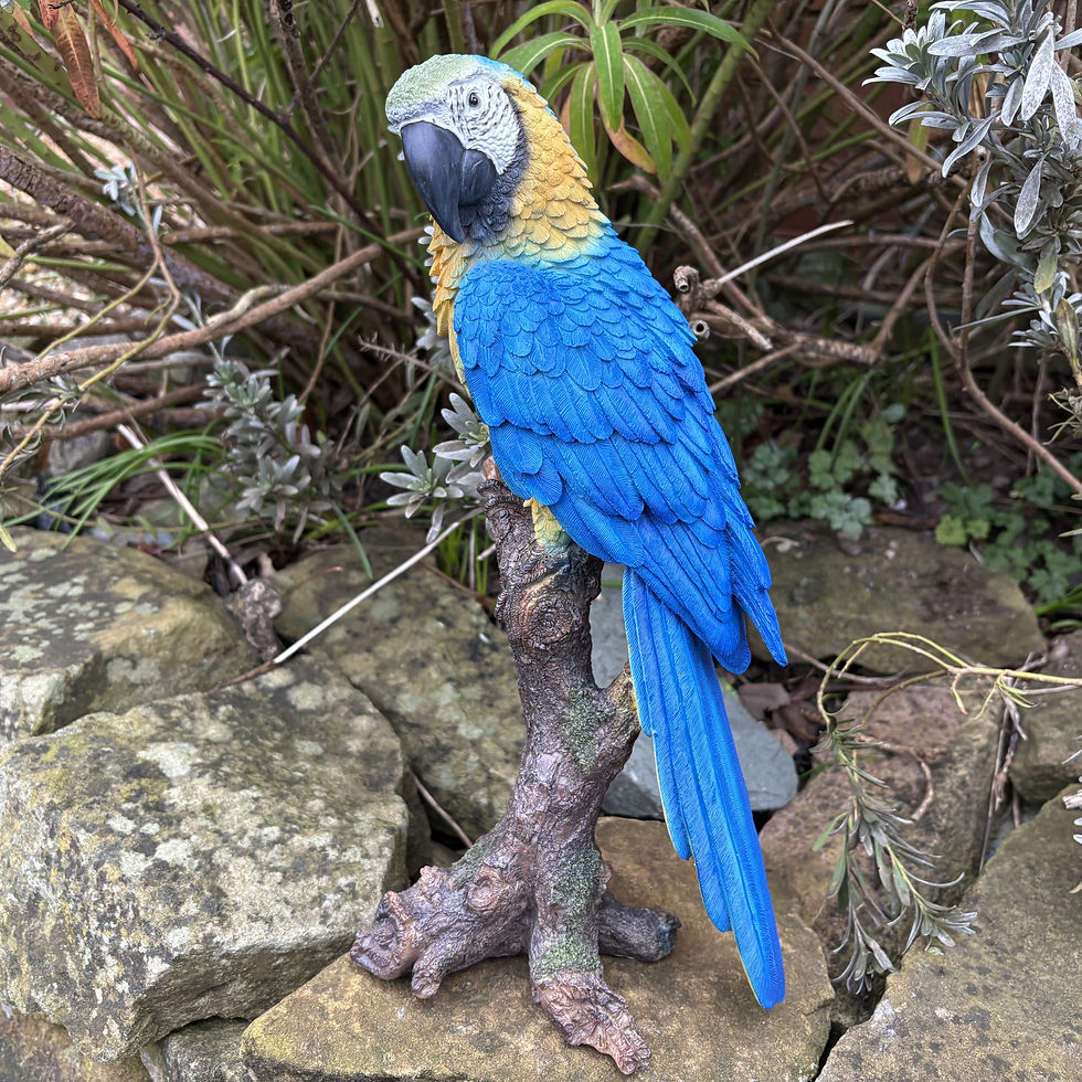 Vivid Arts - Yellow Macaw Parrot