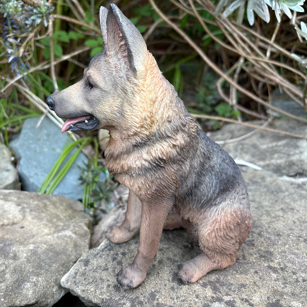 Thumbnail: Vivid Arts - Sitting Alsatian