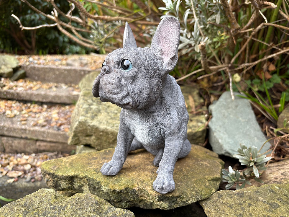Thumbnail: Vivid Arts - Sitting Blue French Bulldog