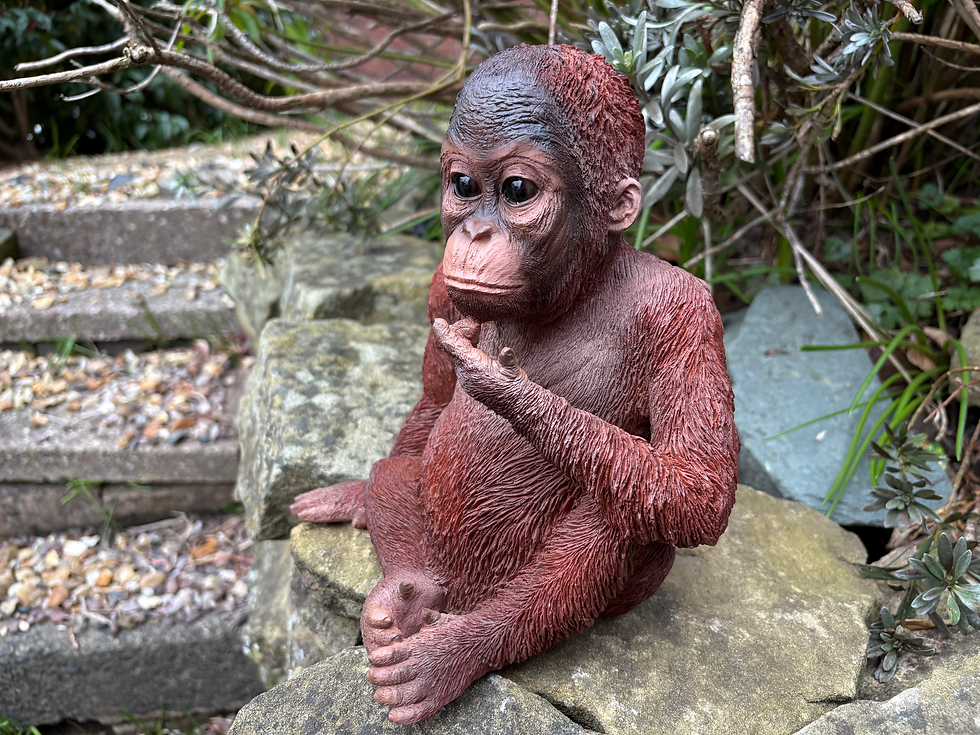 Thumbnail: Vivid Arts - Baby Orangutan