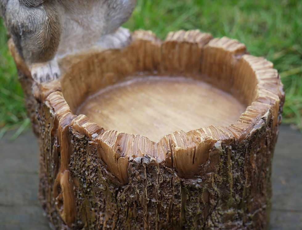 Thumbnail: Squirrel Log Feeder