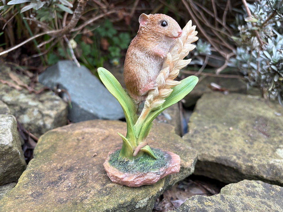 Thumbnail: Vivid Arts - Harvest Mouse on Wheat