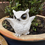 Thumbnail: Vivid Arts - Snowy Owl Plant Pal