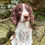 Thumbnail: Vivid Arts - Springer Spaniel