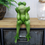 Thumbnail: Sitting Frog 