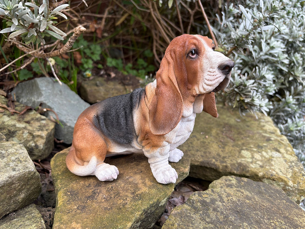 Thumbnail: Vivid Arts - Basset Hound