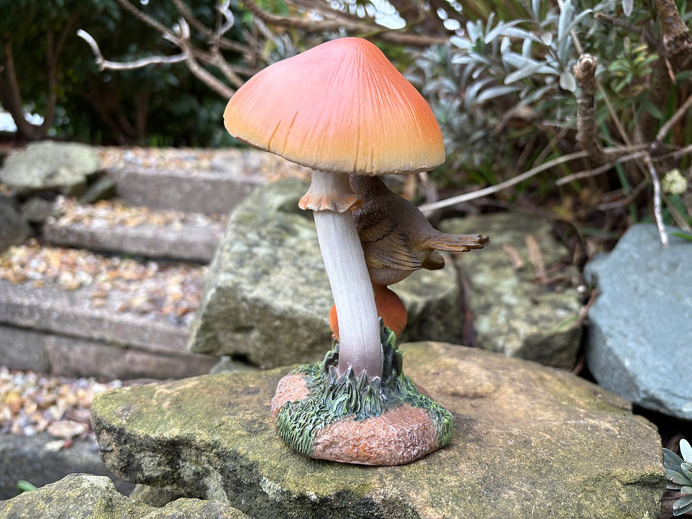 Thumbnail: Vivid Arts - Robin on Toadstool