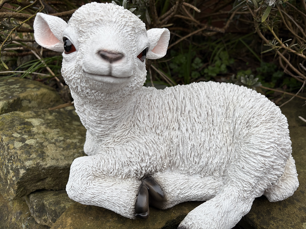 Thumbnail: Vivid Arts - Sitting Lamb