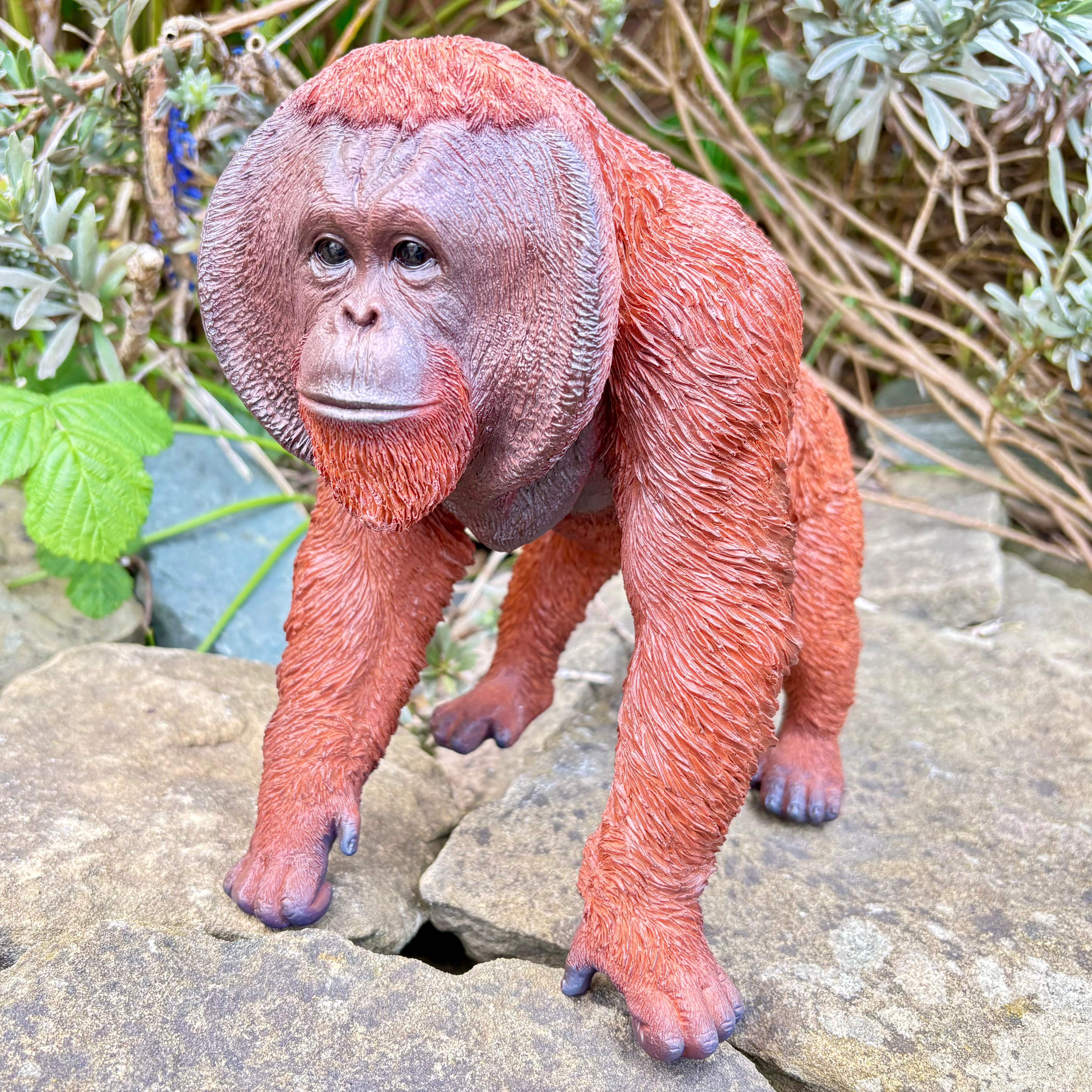 Vivid Arts - Active Orangutan