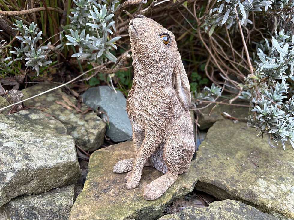 Thumbnail: Vivid Arts - Moon Gazing Hare