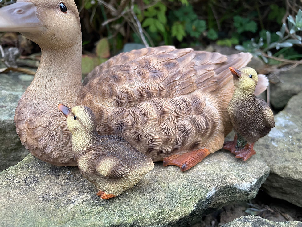 Thumbnail: Vivid Arts - Mother Duck with Ducklings