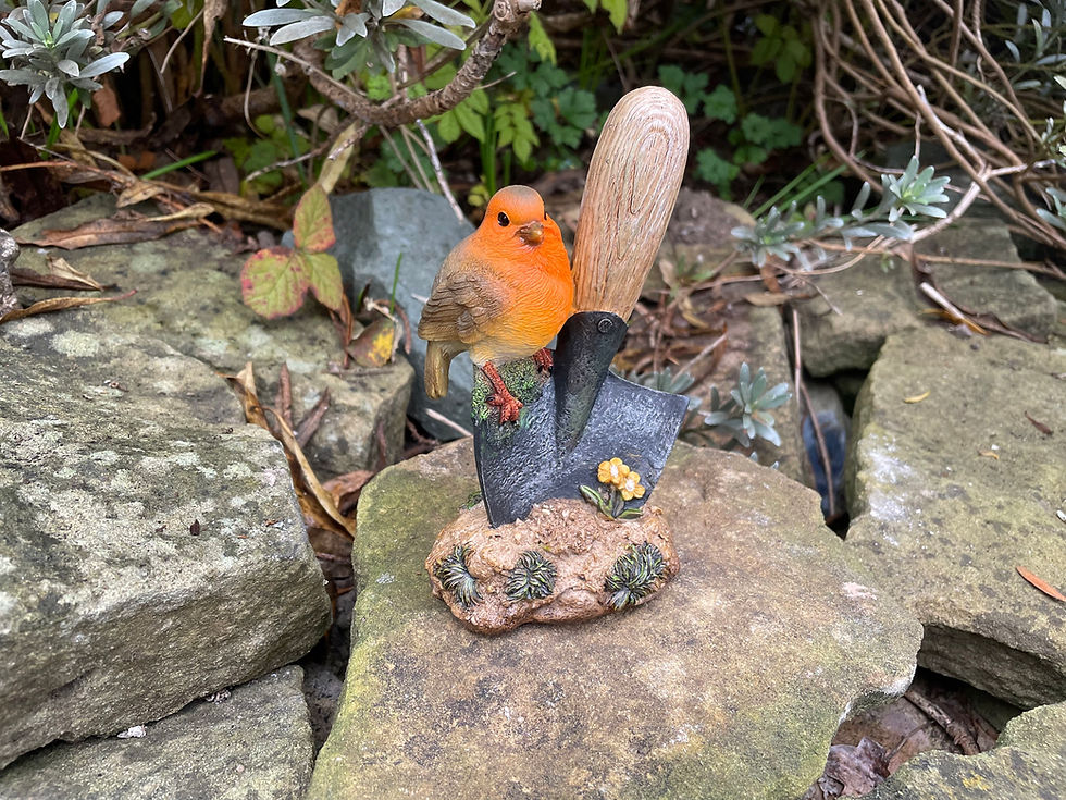 Thumbnail: Vivid Arts - Robin on Trowel