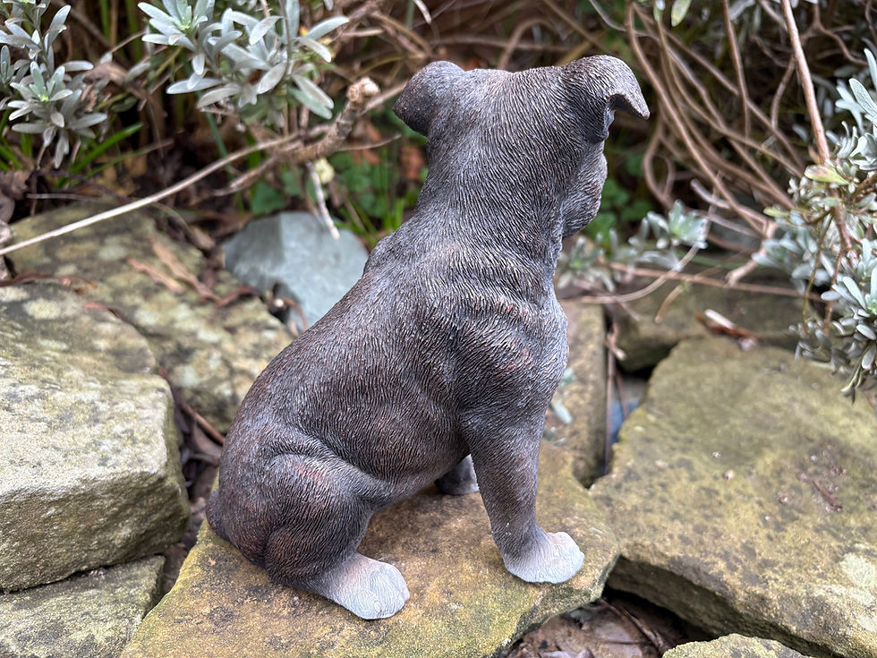 Thumbnail: Vivid Arts - Staffordshire Bull Terrier - Brindle