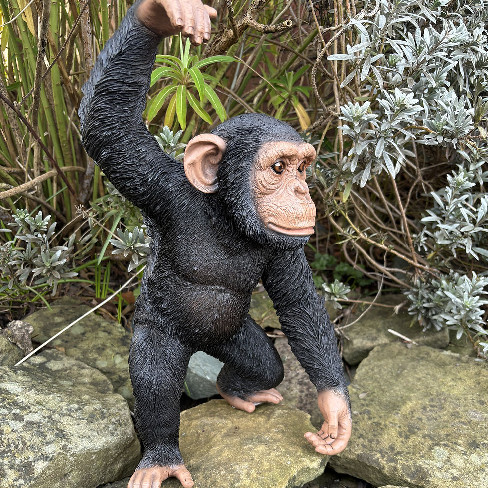 Thumbnail: Vivid Arts - Chimpanzee