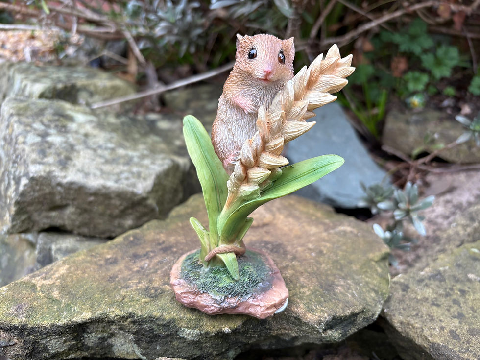 Thumbnail: Vivid Arts - Harvest Mouse on Wheat