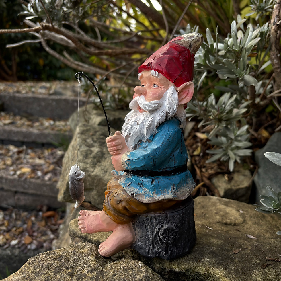 Thumbnail: Fishing Gnome