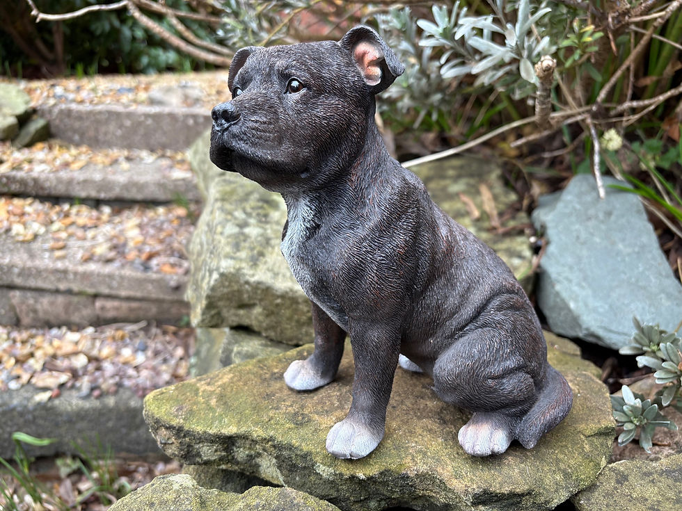 Thumbnail: Vivid Arts - Staffordshire Bull Terrier - Brindle