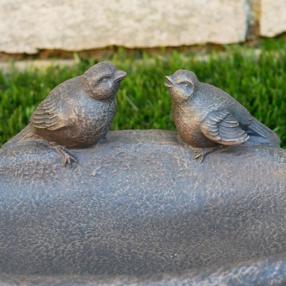 Thumbnail: 2 Birds Birdfeeder