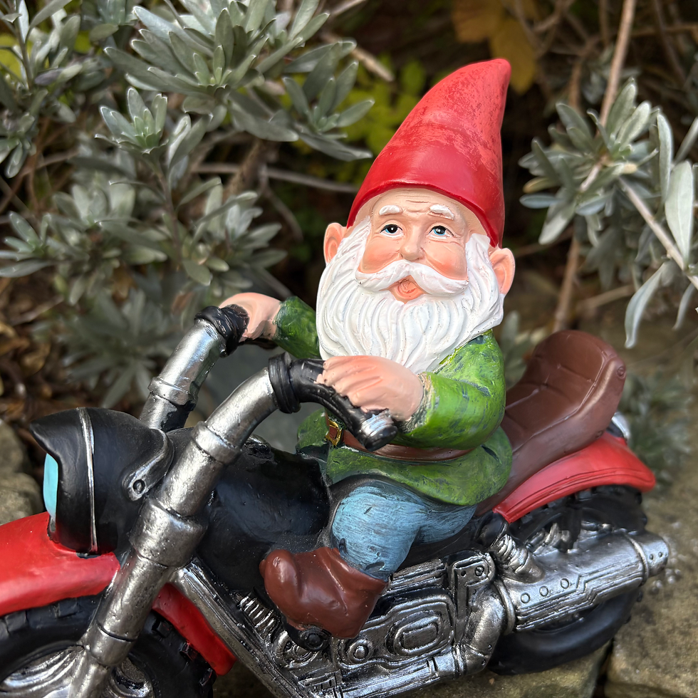 Thumbnail: Grandpa Gnome on Motorbike
