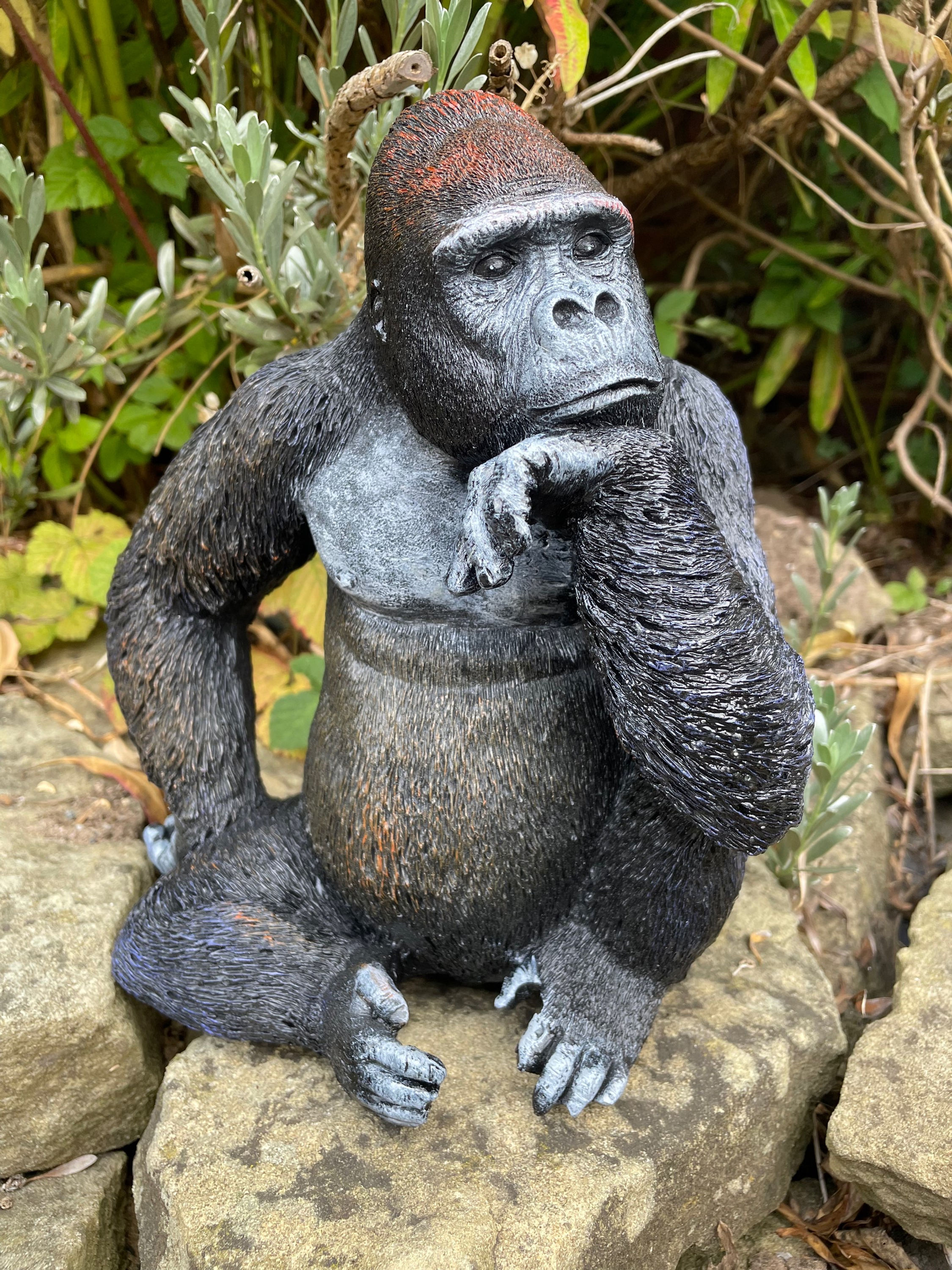 Thinking Gorilla