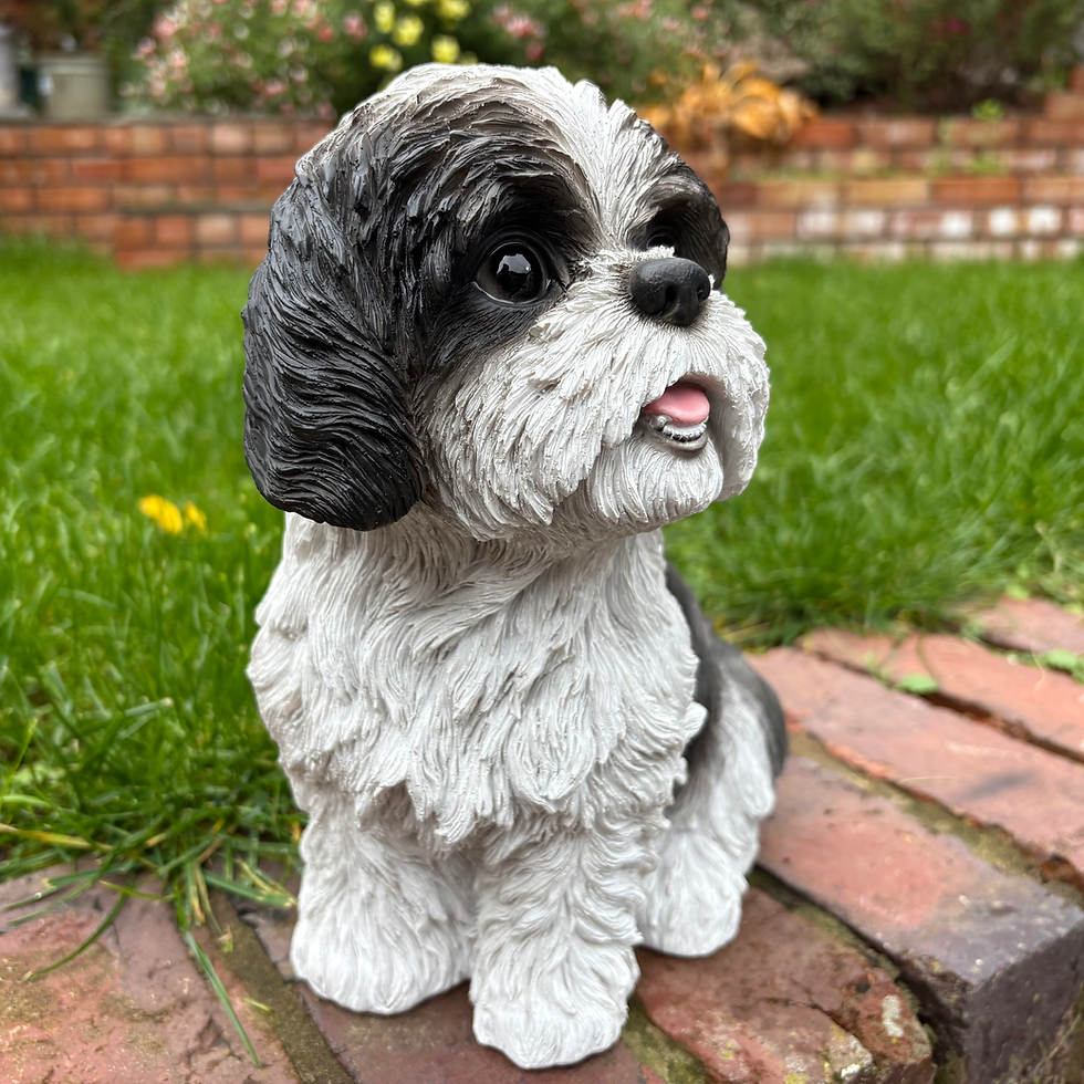 Thumbnail: Vivid Arts - Sitting Shih Tzu