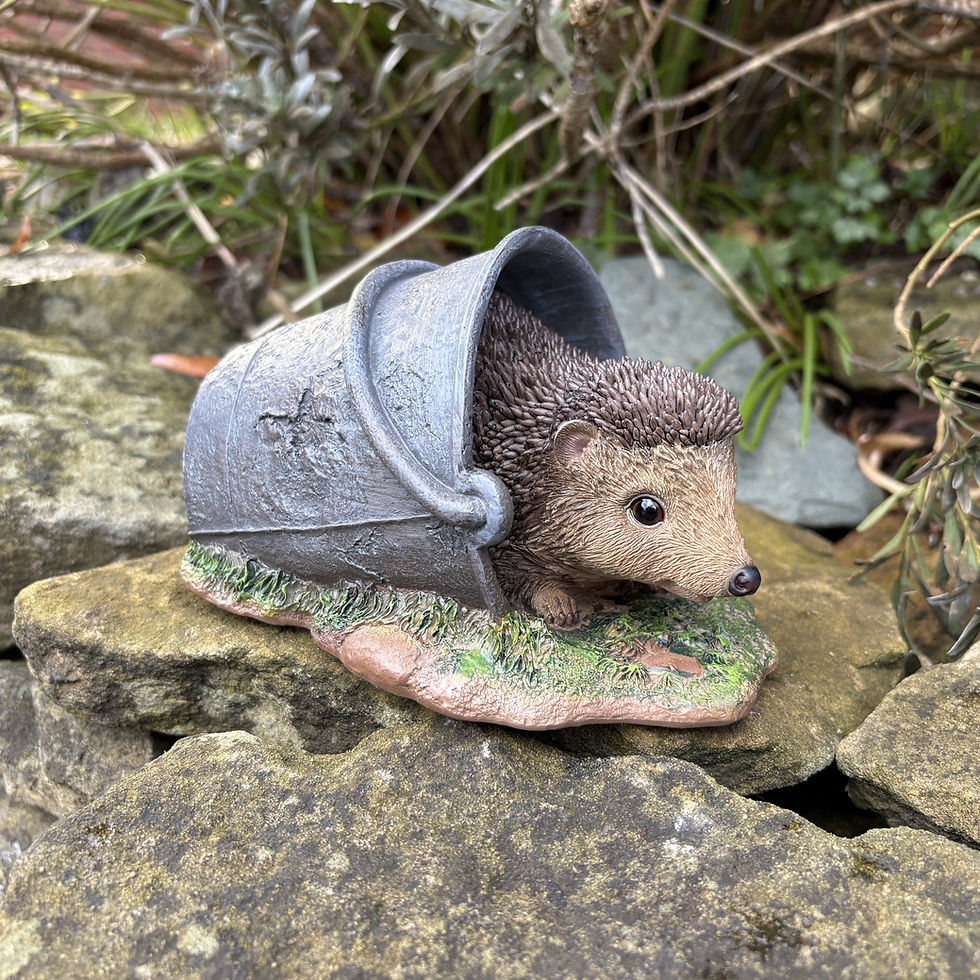 Thumbnail: Vivid Arts - Hedgehog in Rusty Pail