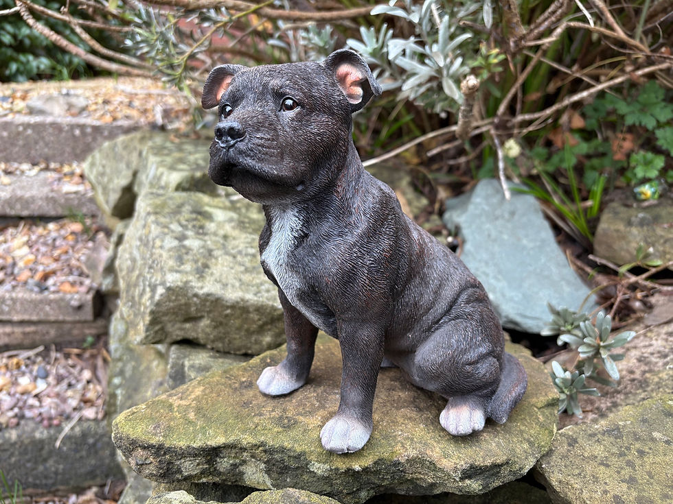 Thumbnail: Vivid Arts - Staffordshire Bull Terrier - Brindle