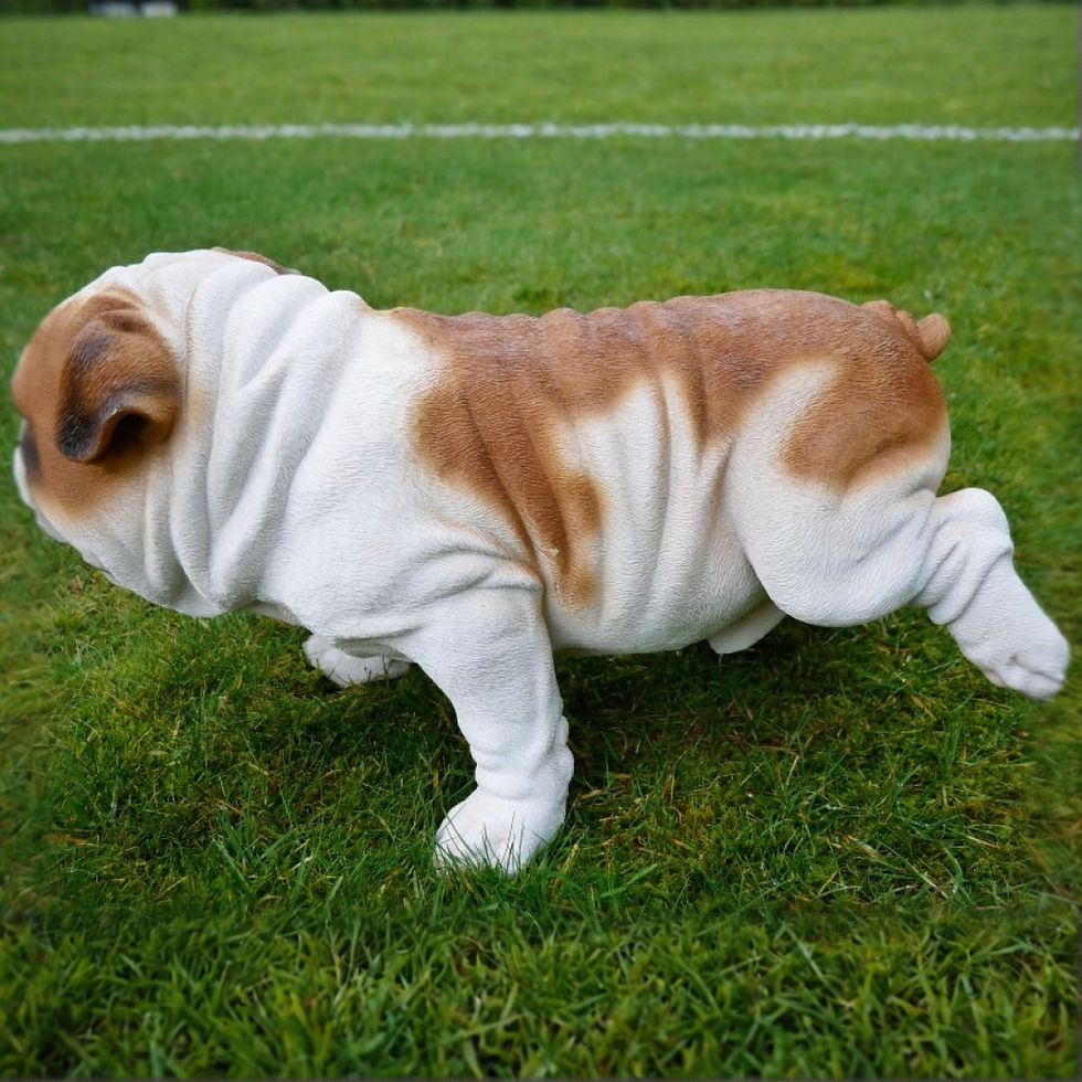 Thumbnail: Large Bulldog