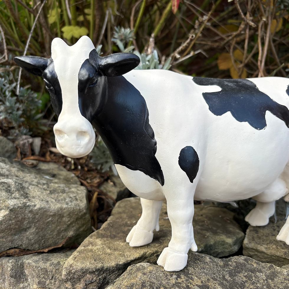 Thumbnail: Black & White Cow