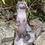Thumbnail: Vivid Arts - Standing Otter