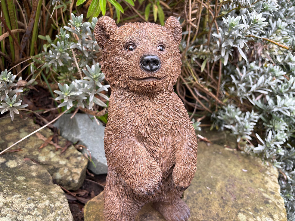 Thumbnail: Vivid Arts - Standing Bear Cub