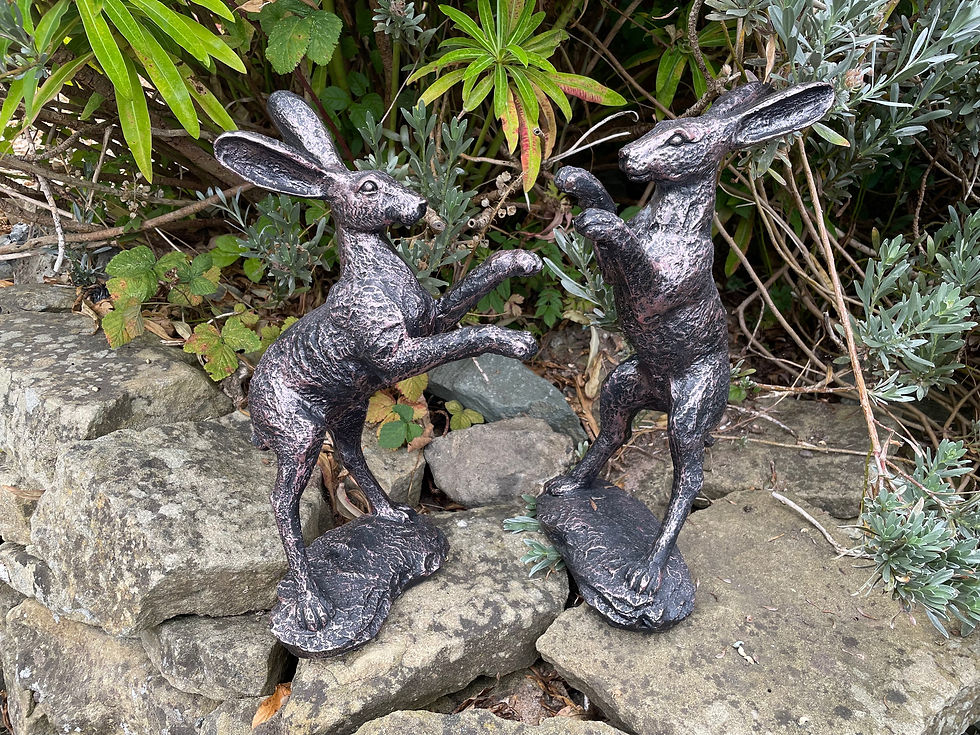 Thumbnail: Boxing Hares